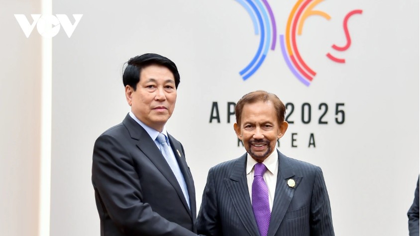 Vietnam, Brunei look to closer cooperation during Sultan’s State visit